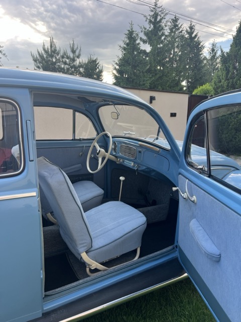 VW Garbus Oval 1954